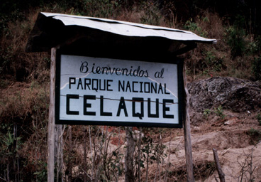 The Drive to Parque Celaque