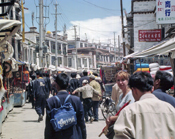 Lori in Lhasa, Tibet