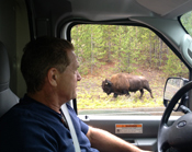 John and a bison, Wyoming, Yellowstone Park